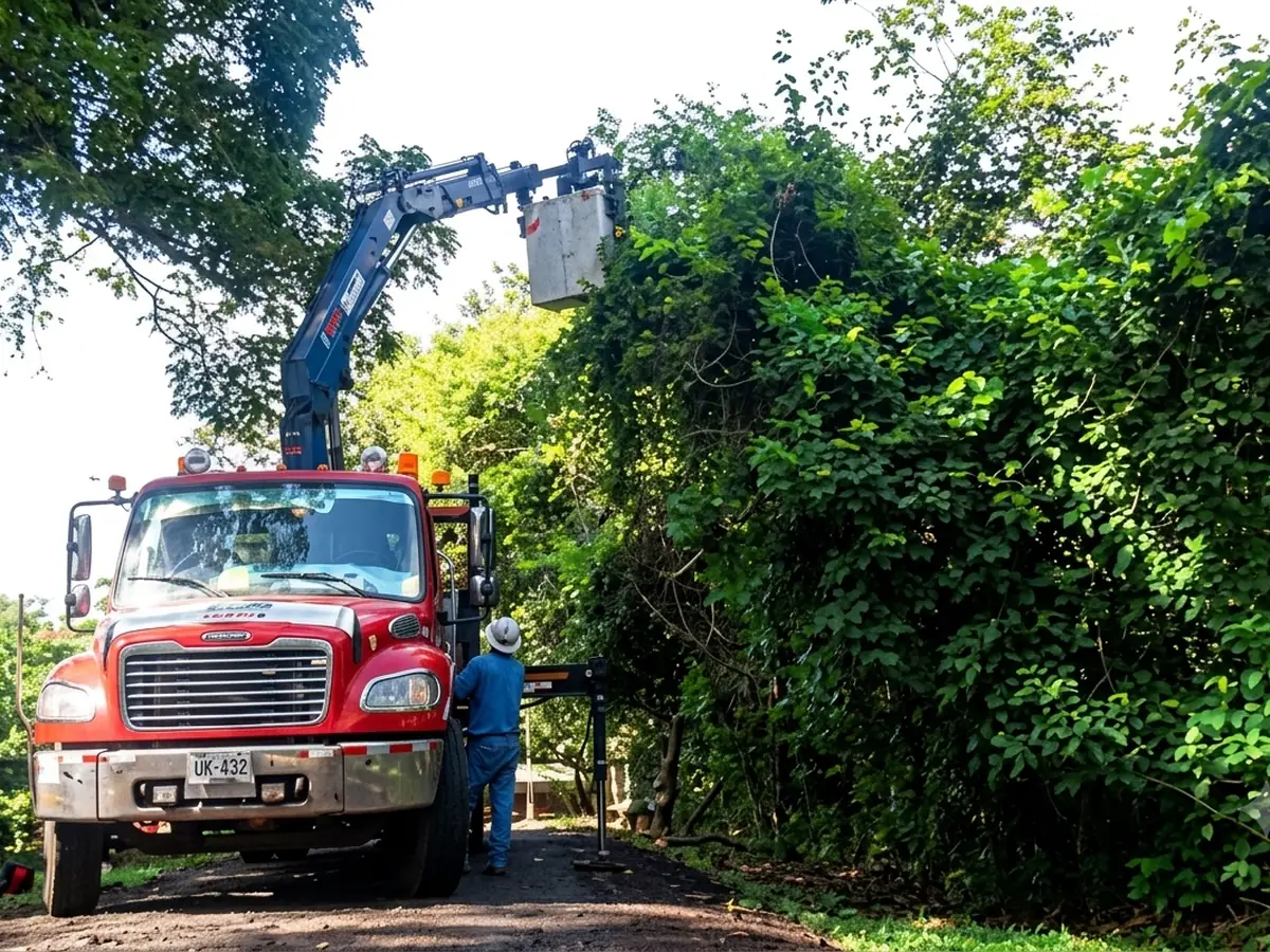 Camión canasta de GLP Multiservicios